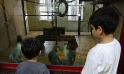 Ara Tatilde Öğrenciler Gaziantep Doğal Yaşam Parkı’na Akın Etti