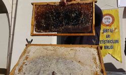 Arıcılara 41 milyon 436 bin liralık destek