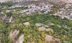 Bu köyde ne eksen onu biçiyorsun