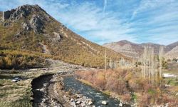 Devlet Kato Dağı eteklerinde sporcular için seferber oldu