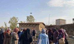 Diyarbakır’da 150 Kadın Doğanın Şifasını Keşfetti: Tıbbi ve Aromatik Bitki Atölyesi İlgi Odağı Oldu