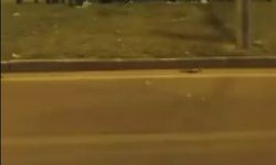 Diyarbakır’da araç refüje uçtu: 1 yaralı