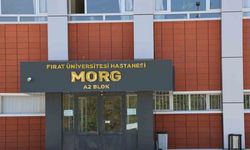 Elazığ’da 3’üncü kattan düşen bekçi hayatını kaybetti