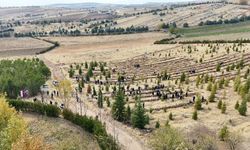 Elazığ’da Doğu Türkistan ve Filistin için fidan diktiler