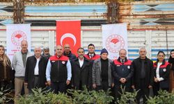 Elazığ’da sumak üretimi artıyor