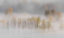 Hevsel’in sonbahar perdesi: Sisli bahçeler kartpostallık görüntüler oluşturdu