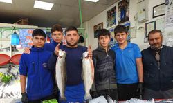 Karadeniz’deki bolluk balık fiyatlarını düşürdü