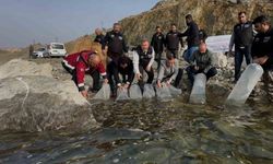 Karakaya Baraj Gölü’ne 420 bin yavru balık bırakıldı