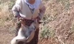 Sason’un cesur ninesi Tayyibe Nine hayatını kaybetti