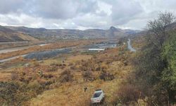 Son dakika! Elazığ’da kamyonet şarampole uçtu