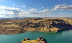 Fırat Nehri Boyunca Uzanan Elazığ’ın Kara Leylek Cenneti