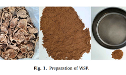 Ceviz kabuğu ne işe yarar demeyin! MTÜ’den çarpıcı araştırma