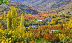 Malatya'nın 5 Harikasını Keşfedin!