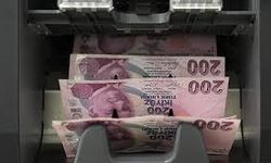 Zirai Don Hasarı Gören Üreticilere Yeni Destek Paketi Açıklandı