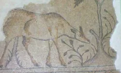 Malatya’da sergileniyor sanatsal değeri çok yüksek