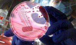 Prostat kanserine Robotik Çağ: Tamamen iyileşme mümkün!