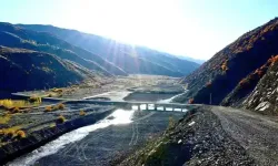 Güneşle dansa duran Şiro, kendine hayran bıraktı!