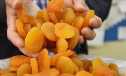 Malatya’da Don Felaketi Yetmedi, Şimdi de Kaçak Kayısı Şoku!