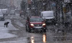 Malatya’da Kar Kapıda!