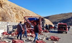 Akçadağ’da Tavuk Yüklü Kamyon Devrildi: Yüzlerce Tavuk Telef Oldu