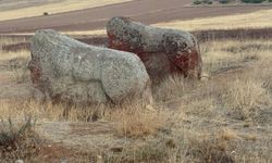 Darende Aslantaşları Yerinde Korunacak