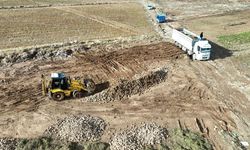 Malatya'da Beklenmedik Hasat Çiftçiyi Mutlu Etti