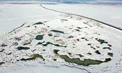 Afrika'dan Rusya'ya göç eden kuşları ağırlayan Çalı Gölü dondu
