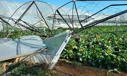 Antalya'da hortum nedeniyle 4 sera hasar gördü