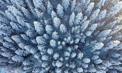 Beyaz örtüyle kaplanan Küre Dağları dron ile görüntülendi