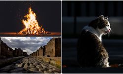 Bilim insanları fosilleşmiş dinozor ayak izi keşfetti