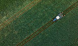 Çiftçilere 1,1 milyar liralık tarımsal destekleme ödemesi bugün yapılacak!