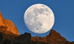 Dağın zirvesindeki yaban keçileri dolunayla birlikte görüntülendi