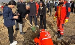 Doğanşehir'de 'Doğa Bizim İçin Önemli' projesi kapsamında fidan dikildi