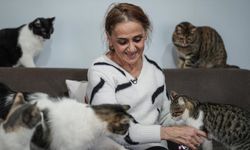 Kanser tedavisi sürecinde evinde beslediği 30'dan fazla kediden güç ve moral buldu