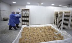 Osmanlı Usulü Tarhana Malatya’dan Dünyaya Açılıyor