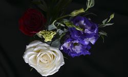 Türkiye'den yılbaşı için 12 milyon dolarlık çiçek ihracatı