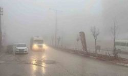 Besni'de yoğun sis etkili oldu