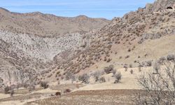 Bestler Dereler bölgesine 30 yıl sonra ilk kez yollar açılıyor