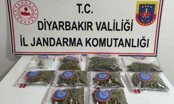 Diyarbakır'da 25 kilo esrar ele geçirildi