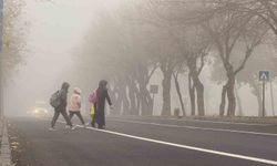 Diyarbakır'da sis görüş mesafesini düşürdü