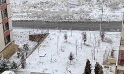 Elazığ'da kar yağışı başladı