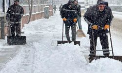 Elazığ'da kar yağışı etkili oldu, belediye ekipleri sahada