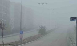 Elazığ’da yoğun sis, bir mahalle adeta kayboldu