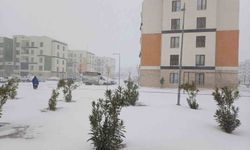 Kar yağışı çiftçilerin yüzlerini güldürdü