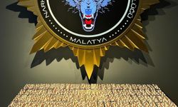 Malatya'da 3 tutuklama