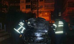 Mardin’de park halindeki otomobilde çıkan yangın söndürüldü