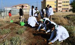 Öğrencilere 'tohumdan sofraya' tarım eğitimi