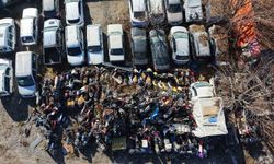 Otoparkta yosun tutan araçlar: 500 milyon TL'lik servet çürüyor