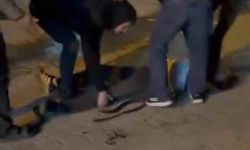 Şanlıurfa’da bıçaklı kavga: 3 yaralı