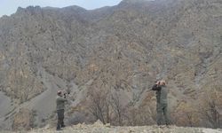 Siirt'te kaçak avlanmaya 15 bin lira ceza